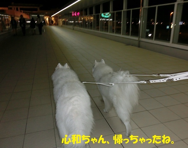 e0196135_20231864.jpg