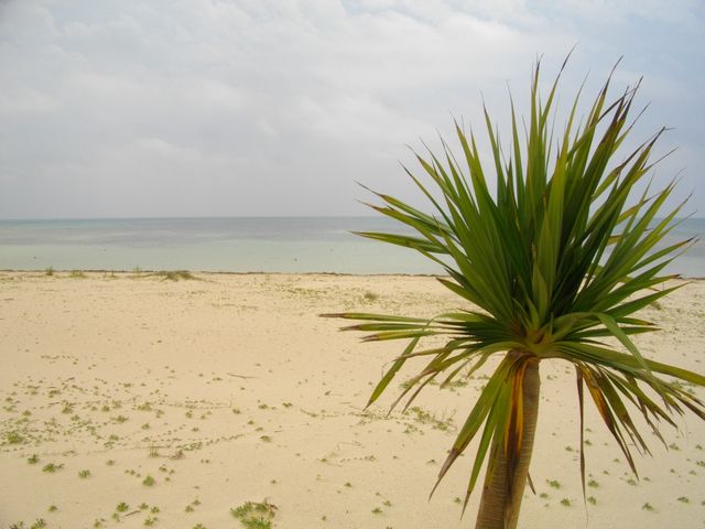 c0101739_17483978.jpg