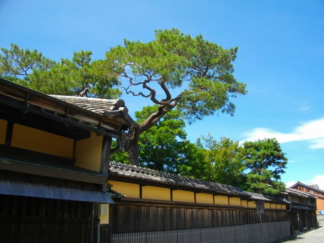 c0101739_17544964.jpg