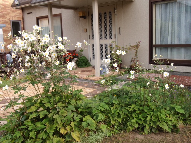 c0117239_9251642.jpg