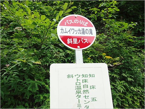 e0022839_135391.jpg