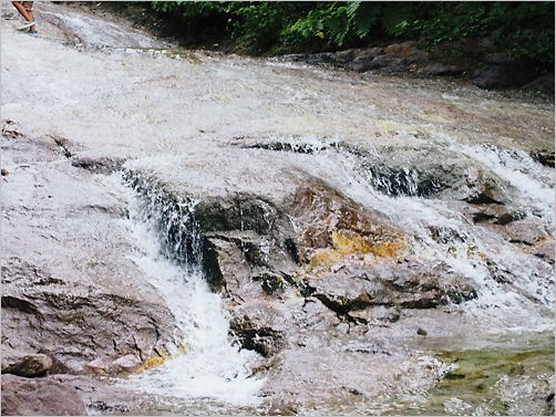 e0022839_1364883.jpg