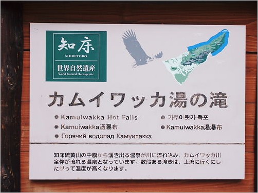 e0022839_136625.jpg
