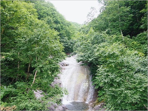 e0022839_137511.jpg