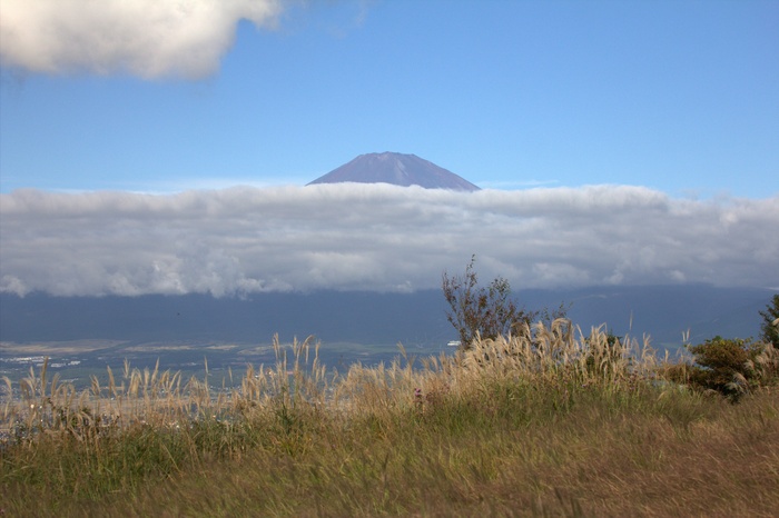c0269342_2242593.jpg