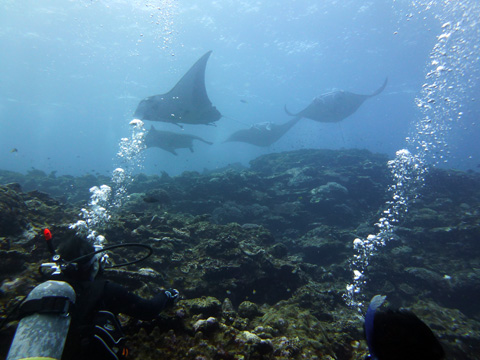 f0014842_17343481.jpg