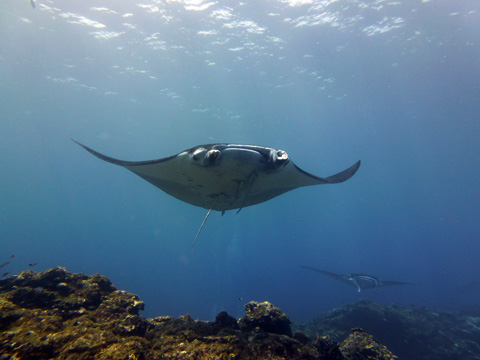 f0014842_17344559.jpg