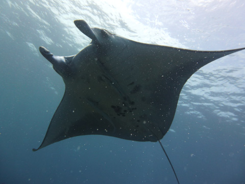 f0014842_17345436.jpg