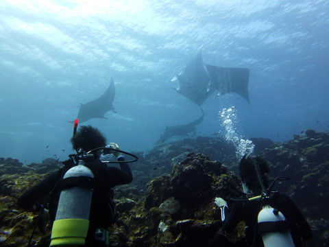 f0014842_1734810.jpg