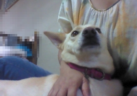 f0195543_2012247.jpg