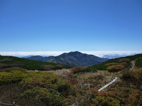 e0002850_21202141.jpg