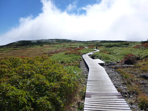e0002850_21402819.jpg