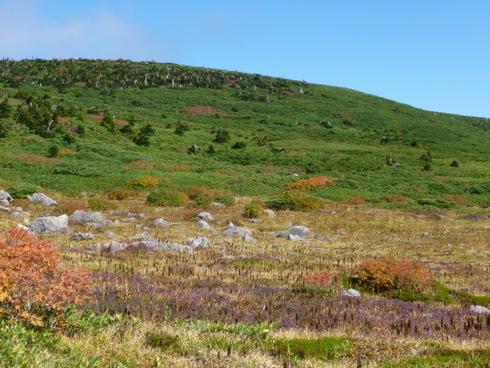 e0002850_21553677.jpg