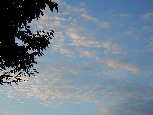 e0184251_1051251.jpg