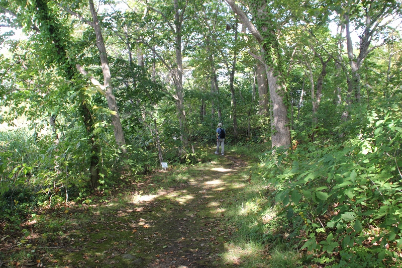 b0250154_20551675.jpg