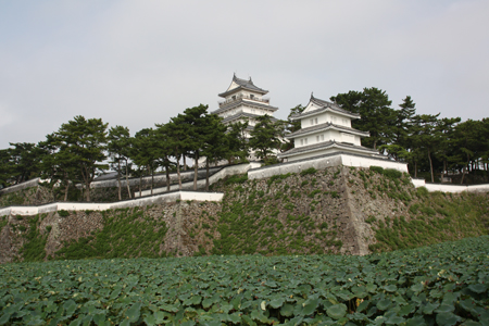 a0187356_7263141.jpg