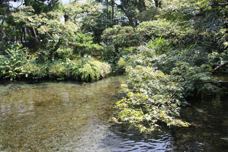 a0187356_7271631.jpg