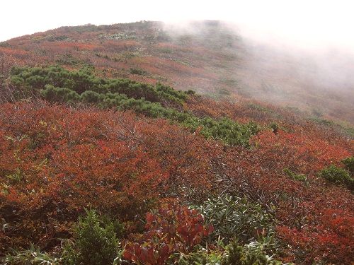 c0294658_2173375.jpg
