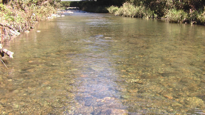 b0208961_91607.jpg