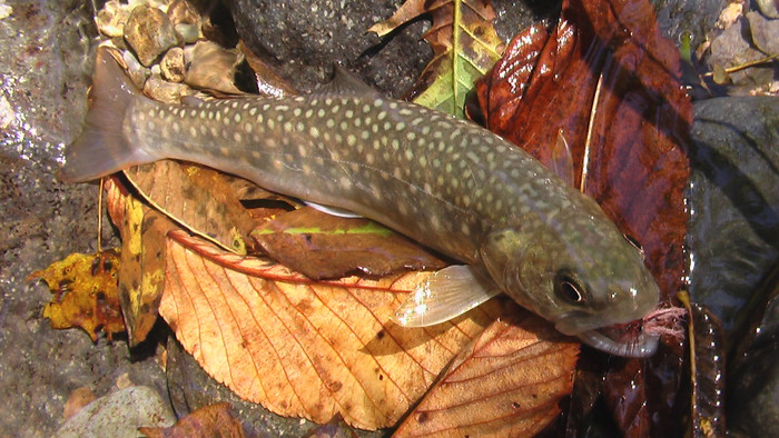 b0208961_995413.jpg