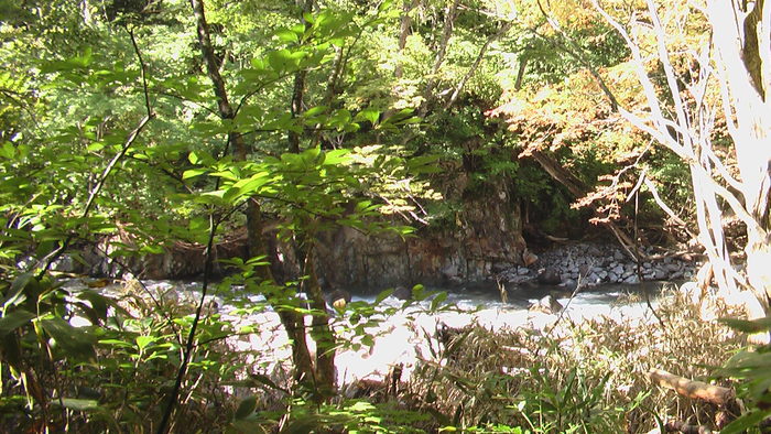 b0208961_99788.jpg