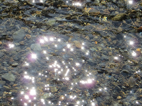 d0120665_15581743.jpg