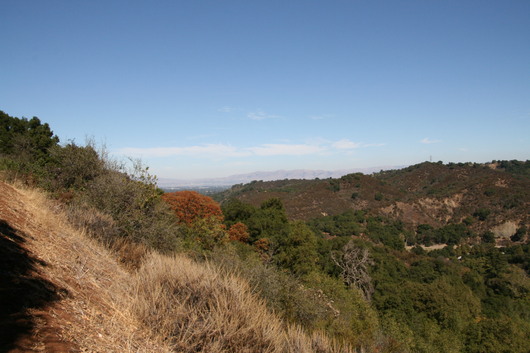 c0115366_22275318.jpg