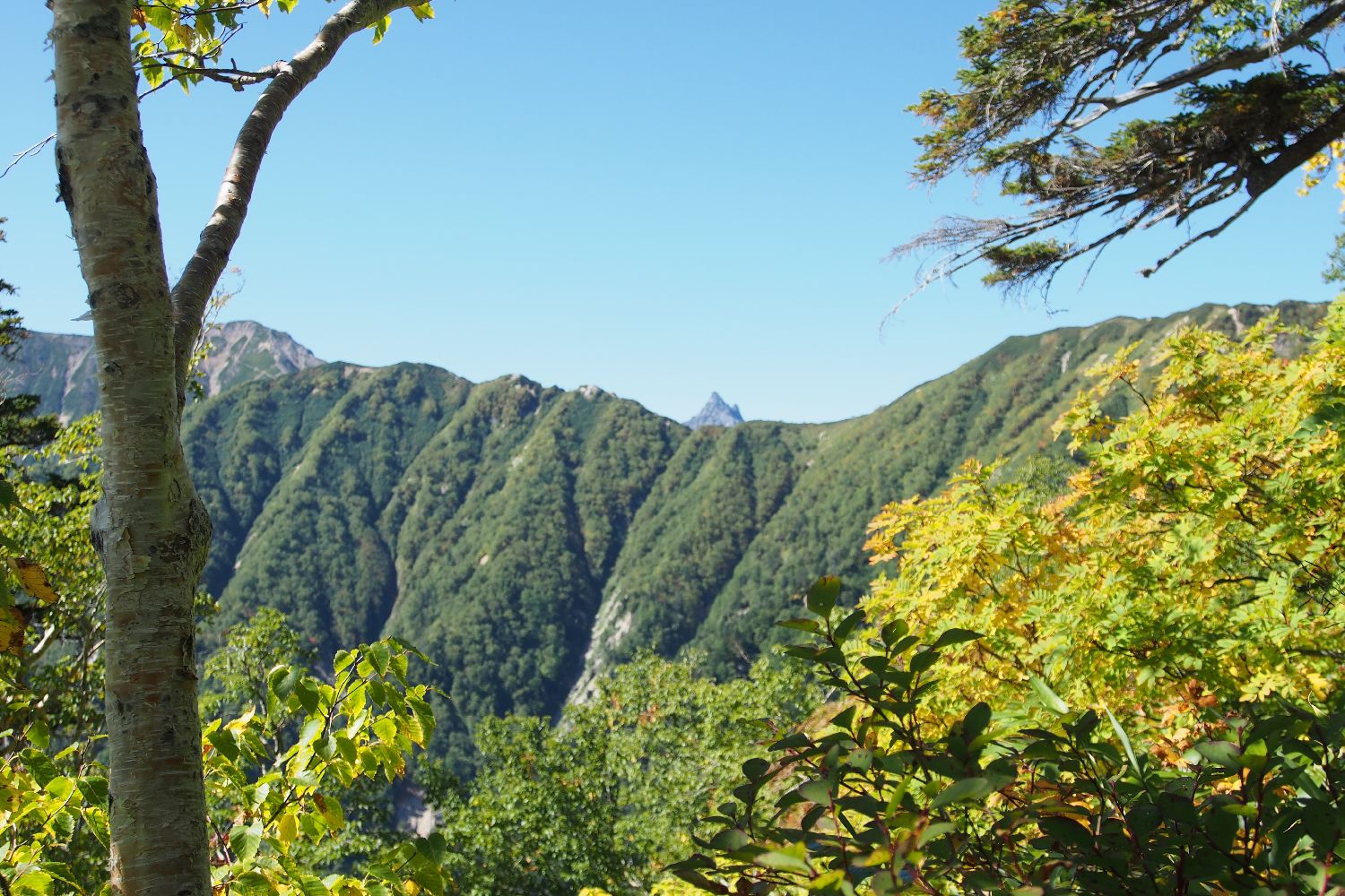 e0307372_8501457.jpg
