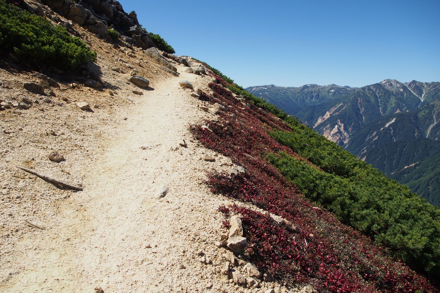 e0307372_9331296.jpg