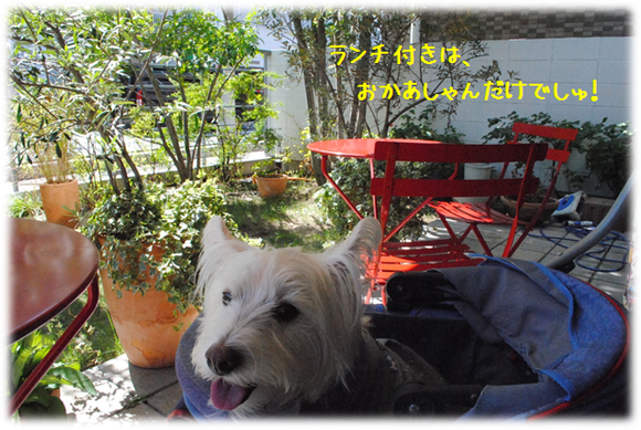 b0242873_9475660.png