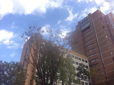 a0187575_18241717.jpg
