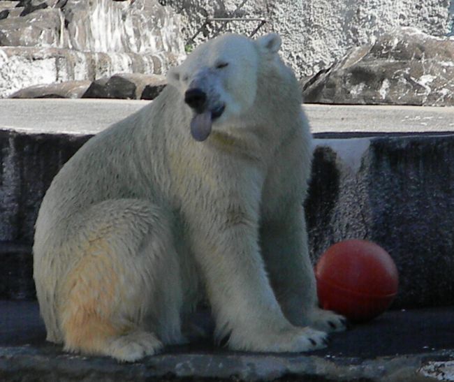 b0014576_22305589.jpg