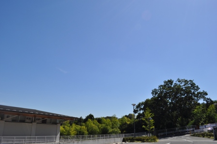 d0183577_21243164.jpg