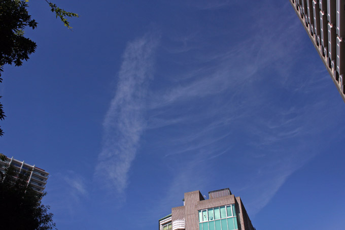 e0112077_1473488.jpg