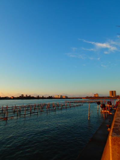 c0197578_2110643.jpg