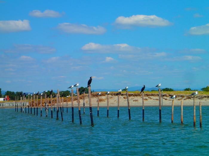 c0197578_21204585.jpg
