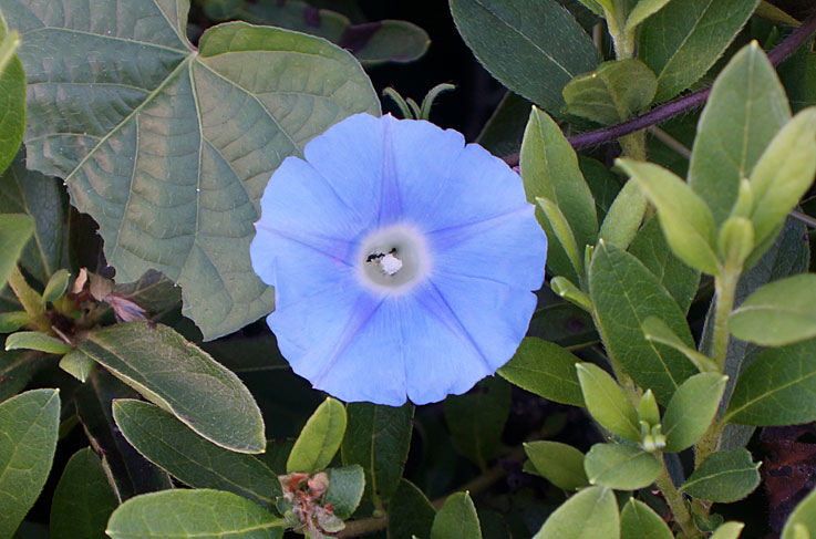b0057679_9192968.jpg