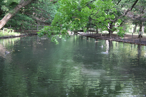 f0127388_11391379.jpg