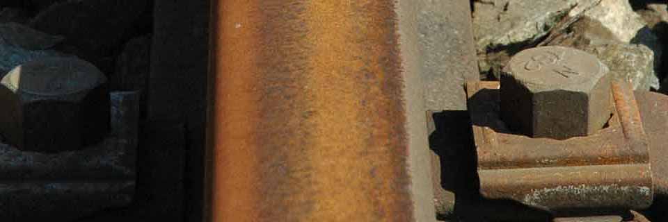c0170789_16333846.jpg