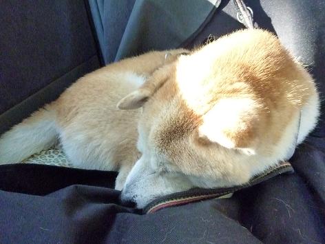 c0123890_20123626.jpg