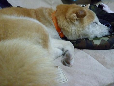 c0123890_20125165.jpg
