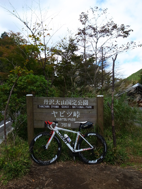 d0081997_21394586.jpg