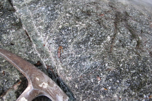 b0049200_16204114.jpg