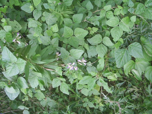 e0025300_19245891.jpg