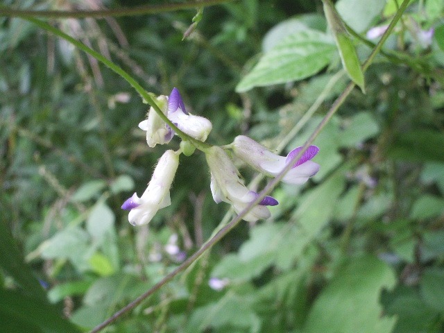 e0025300_19254246.jpg