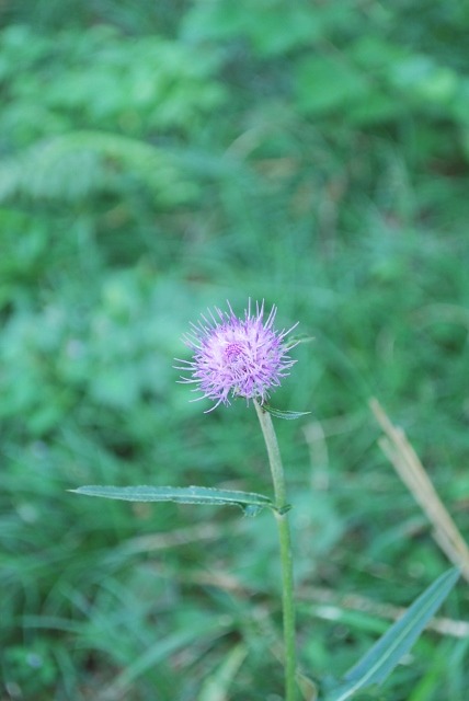 e0025300_19302392.jpg