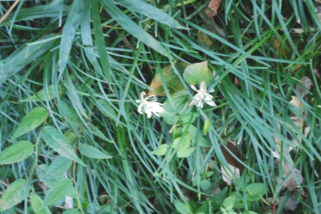 e0025300_19321743.jpg