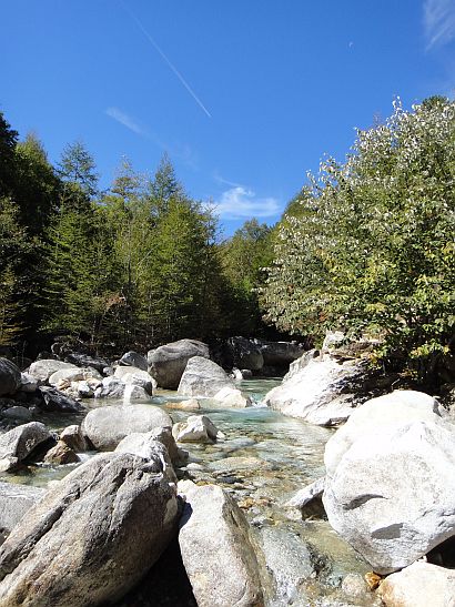 b0172805_1431289.jpg