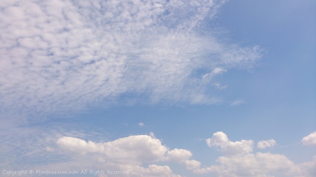 e0137705_23161295.jpg