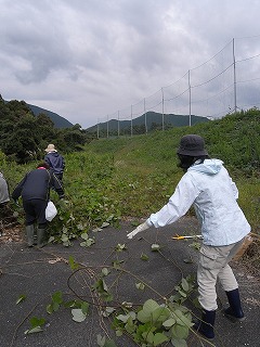 a0098510_1904254.jpg